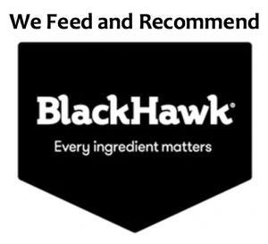 We feed and recommend Black Hawk logo
